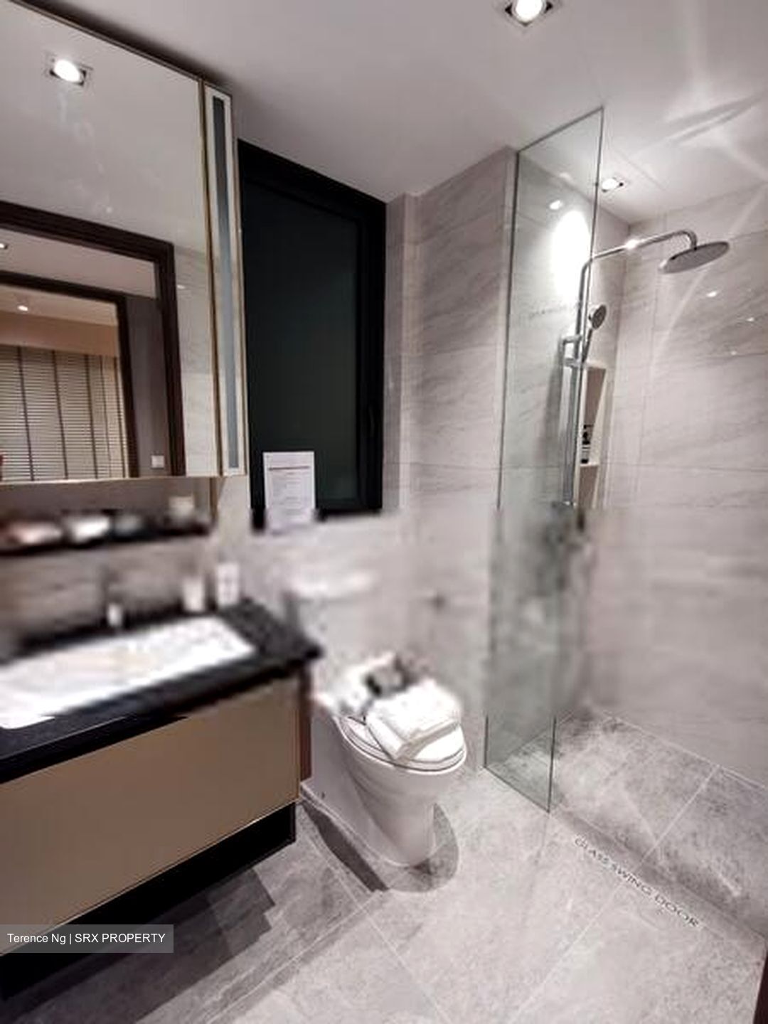 Normanton Park (D5), Apartment #408763501